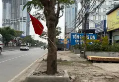Nhà mặt phố Nguyễn Bỉnh Khiêm, vị trí đắc địa ngay ngã tư Lê Hồng Phong... Bán nhà mặt phố tại Đông Hải, Hải Phòng 02