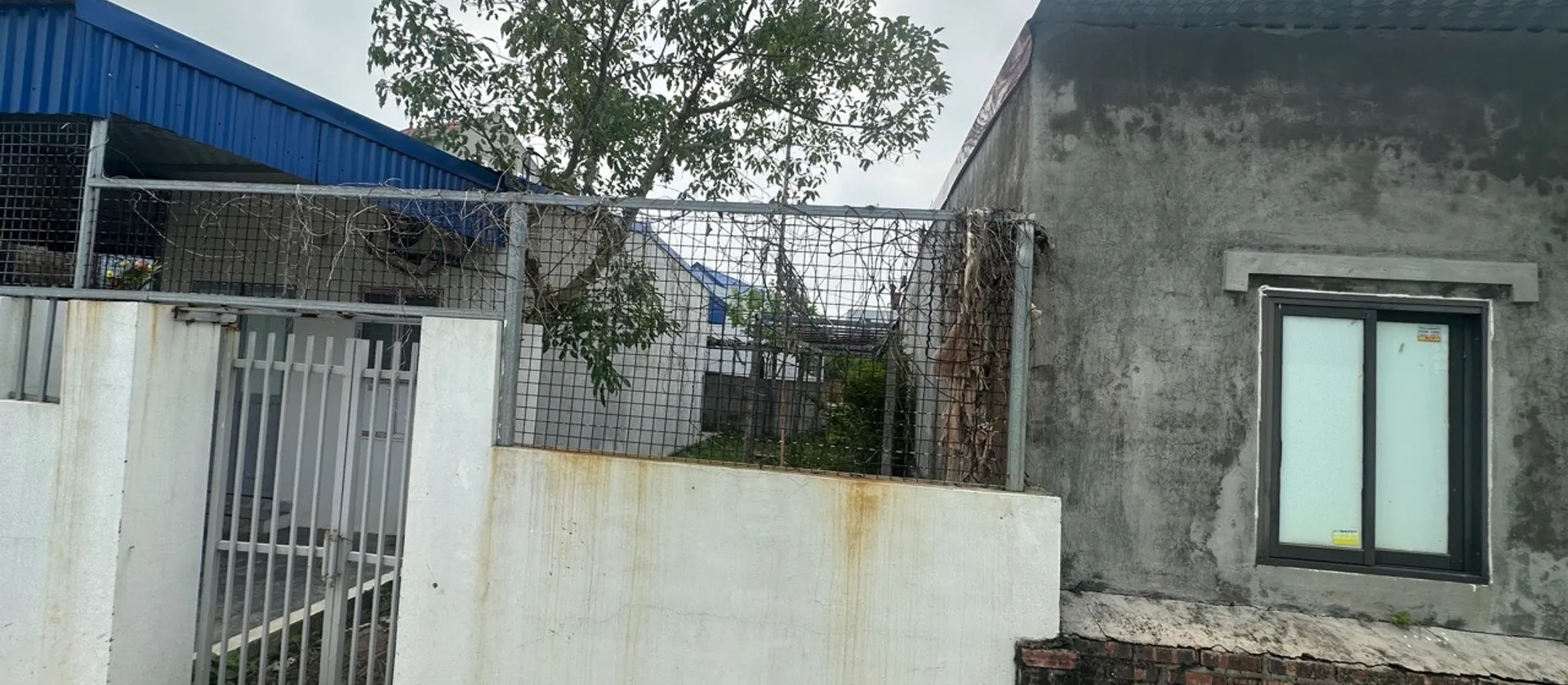 Siêu phẩm đất 2 thoáng tại khu dân cư C4 gần Hoàng Huy, đường rộng thoáng đãng... Bán đất tại Thủy Nguyên, Hải Phòng 01