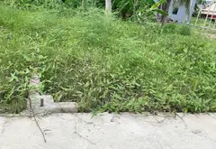 Cơ Hội Sở Hữu Lô Đất Vuông Vắn Tại Lâm Động 3 Với Giá Tốt... Bán đất tại Thiên Hương, Hải Phòng 05