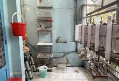 DT: 4.44 dài 10

Kết cấu : 1 trệt 1 lầu

Gồm 2pn, 2wc

Nhà hẻm 3 gác - chỉ 30m ra hẻm xe hơi.

Nhà... Bán nhà riêng tại Phú Thạnh, Hồ Chí Minh 13