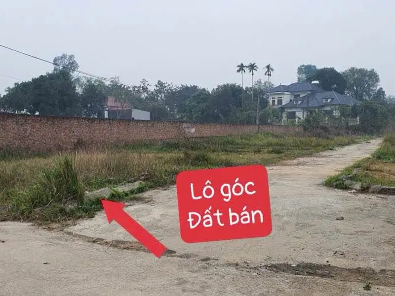 Đất trung tâm Xuân Đồng, ô tô vào tận nơi, pháp lý rành mạch... Bán đất tại Sóc Sơn, Hà Nội 01