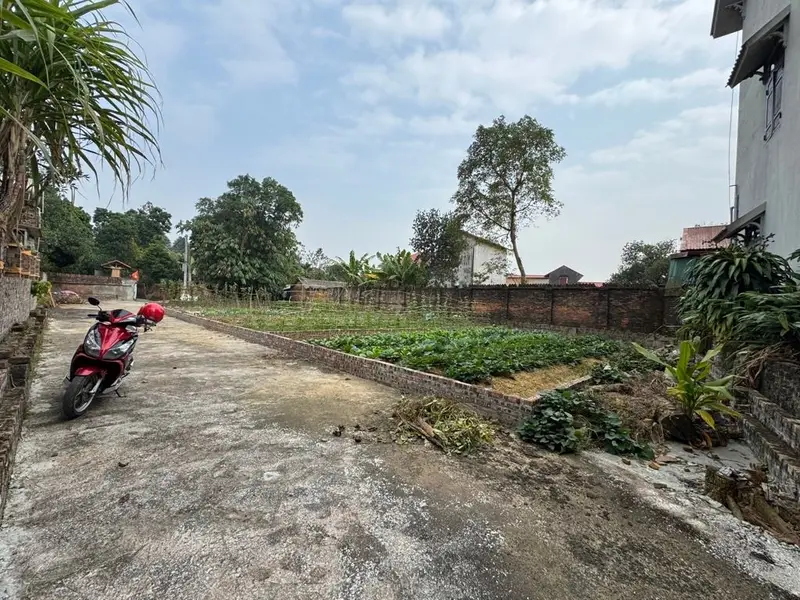 Đất mặt tiền rộng, đầu tư sinh lời tại khu vực tiềm năng... Bán đất tại Sóc Sơn, Hà Nội 01