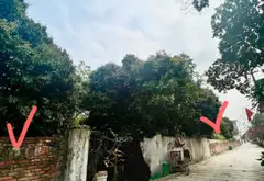Đất - Quang Tiến - Nội Bài - Sóc Sơn - Gần Sân Bay - KHu Công Nghiệp - Ô Tô Tránh... Bán đất tại Sóc Sơn, Hà Nội 02