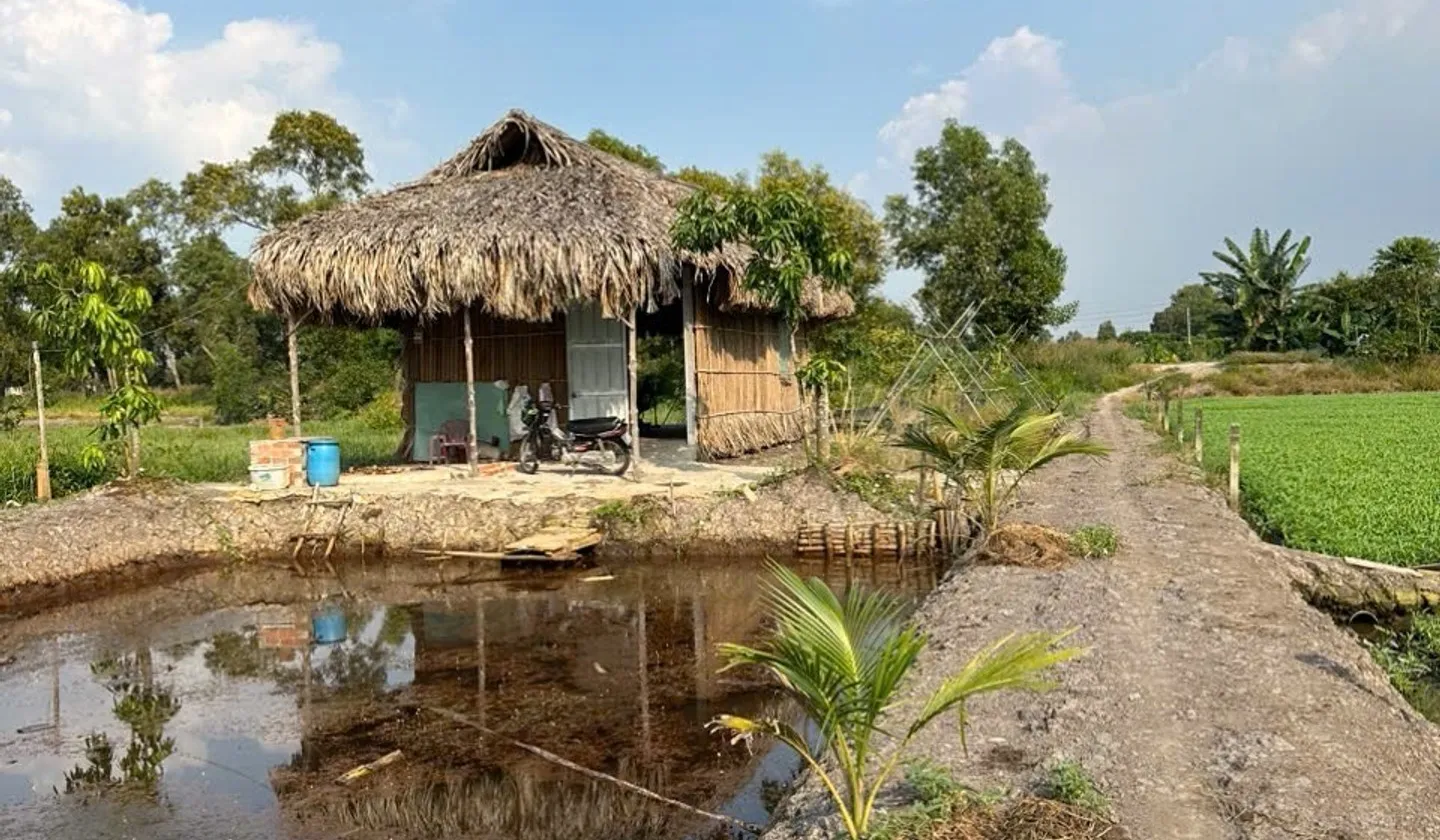 B.á.n đất Hóc Môn, sổ hồng chính chủ, 1583m2, gần chợ, Đại học lao động xã hội…, nhỉnh 5 tỷ... Bán đất tại Đông Thạnh, Hồ Chí Minh 01