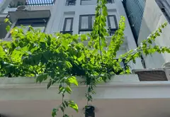 🏡 SIÊU PHẨM NGUYỄN KHOÁI – THÔNG TRẦN KHÁT CHÂN – PHÂN LÔ DÂN TRÍ CAO – 6 NGỦ – Ô CHỜ THANG MÁY... Bán nhà riêng tại Hai Bà Trưng, Hà Nội 02