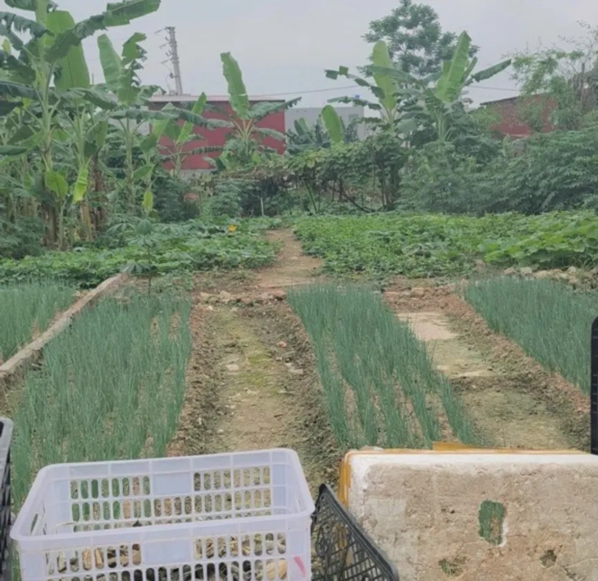 Đất đẹp hai mặt thoáng, oto đỗ cửa, hiếm khu công nghiệp Thuận Thành... Bán đất tại Ninh Xá, Bắc Ninh 01