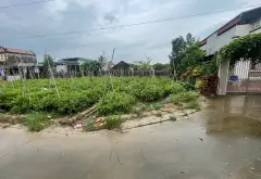THỬA 671 THÔN ĐÔNG TẢO NAM, HOÀN LONG, KHOÁI CHÂU - OTO... Bán đất tại Hoàn Long, Hưng Yên 08