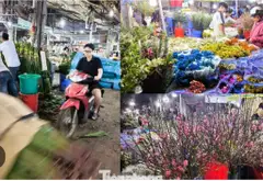 B.a'n Nh.agiáp Q.11 HẺM XE HƠI 6m thông NGANG 5.5M, 3 TẦNG, 4PN, 3WC - Ngay CC Đại Thành và Trường... Bán nhà riêng tại Tân Phú, Hồ Chí Minh 01
