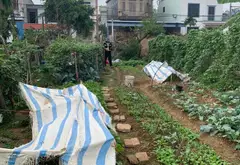 Bán đất mặt tiền 7.8m tại Sóc Sơn, vị trí tiềm năng gần dự án trường đua ngựa... Bán đất tại Sóc Sơn, Hà Nội 05