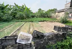 Mảnh Đất Hiếm Hai Mặt Thoáng Sáng, Tiện Ích Đầy Đủ Tại Khu Vực Thuận Thành... Bán đất tại Ninh Xá, Bắc Ninh 02