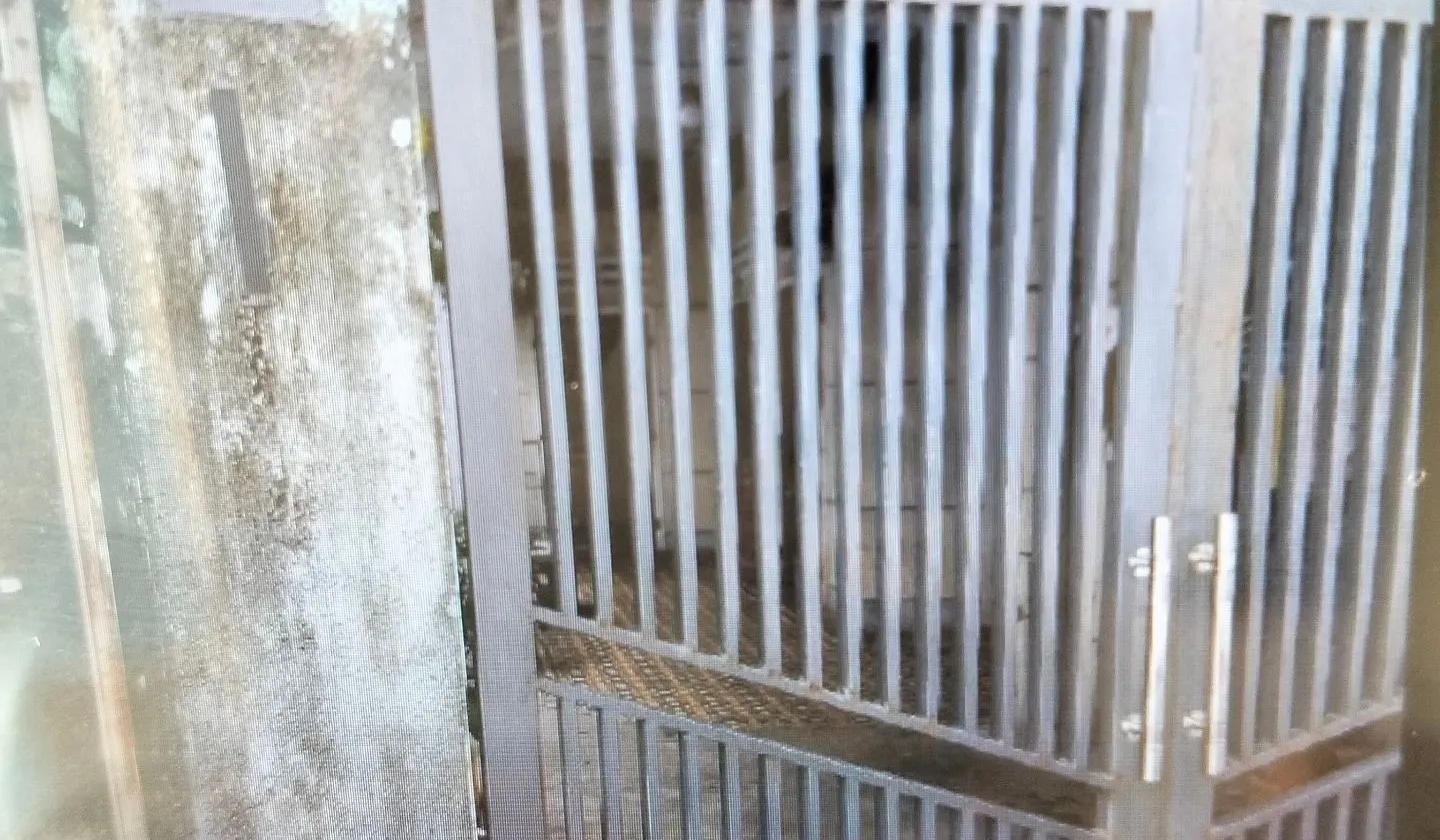 Mặt Phố Sang Trọng Tại Sơn Trà, Đà Nẵng – Tận Hưởng Đẳng Cấp Sống... Bán nhà mặt phố tại Sơn Trà, Đà Nẵng 01