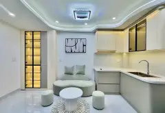 Bán nhà mini 2 phòng ngủ - Nguyễn Văn Đậu giáp Phú Nhuận - Hoàn công đủ giá chỉ 4.x tỷ... Bán nhà riêng tại Bình Lợi Trung, Hồ Chí Minh 04