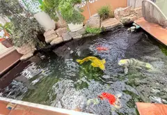 Bán nhà phố 5 tầng, diện tích 150m2 tại phường 13, Tân Bình... Bán nhà mặt phố tại Tân Bình, Hồ Chí Minh 03