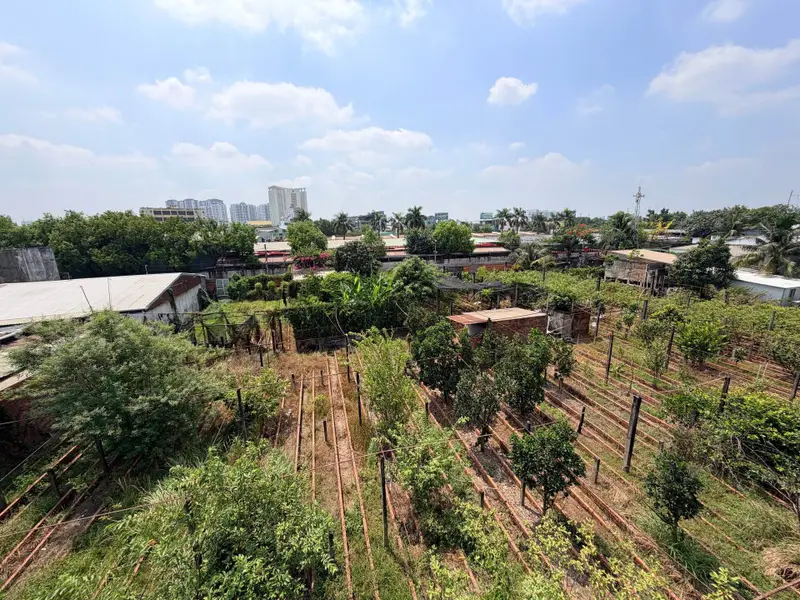 Nhà rộng 494m2 mặt tiền 8m, quận Bình Chánh, vị trí vàng tiện kinh doanh... Bán nhà riêng tại Tân Nhựt, Hồ Chí Minh 01