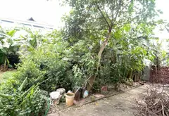 Đất Phân Lô Mặt Tiền Rộng, Ô Tô Vào Nhà - Giá Hấp Dẫn Tại Trung Tâm... Bán đất tại Khoái Châu, Hưng Yên 08