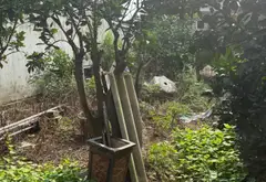 Cơ hội sở hữu đất phân lô vị trí đỉnh ngay trung tâm xã Liên Nghĩa... Bán đất tại Tân Tiến, Hưng Yên 10