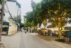 Đất Vuông Vắn Tình Quang - Sở Hữu Ngay Đón Đầu Xu Hướng... Bán đất tại Việt Hưng, Hà Nội 06