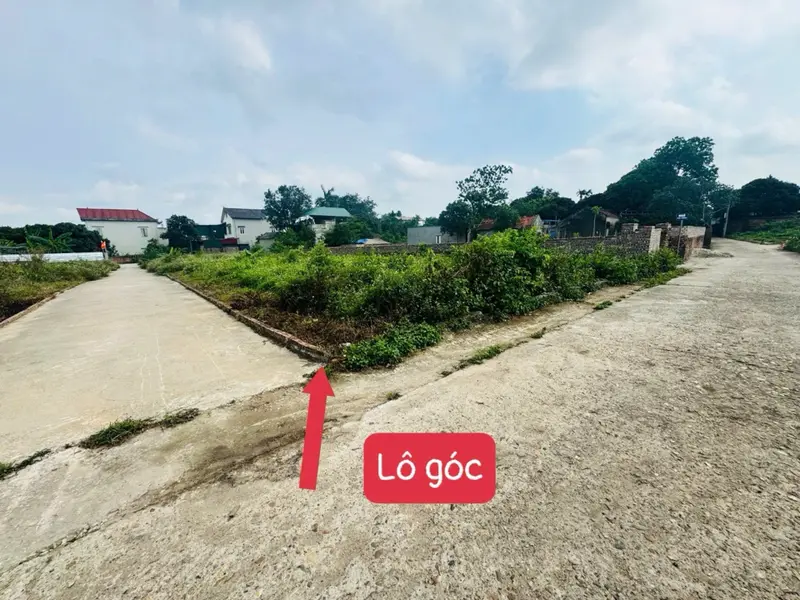 Cơ hội hiếm có sở hữu lô đất góc full thổ cư tại khu vực sôi động!... Bán đất tại Kim Anh, Hà Nội 01