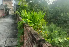 Đất vàng Yên Tàng - Đa Phúc: Cơ hội phân lô tuyệt vời!... Bán đất tại Đa Phúc, Hà Nội 05