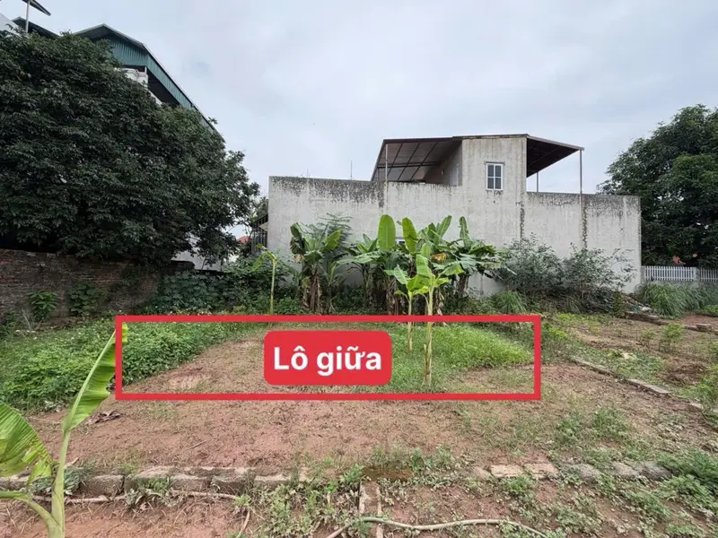 Bán đất Phượng Bãi 41.7m² đường ô tô, giá 2.8 tỷ... Bán đất tại Chương Mỹ, Hà Nội 01