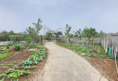 Nhà vườn rộng rãi cho cuộc sống trong lành tại Sóc Sơn... Bán nhà riêng tại Sóc Sơn, Hà Nội 04