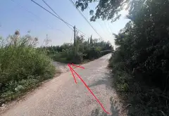 Cơ hội sở hữu nhà vườn rộng 1000m2 tại xã Hiệp Phước giá tốt không thể bỏ lỡ... Bán nhà riêng tại Hiệp Phước, Hồ Chí Minh 01