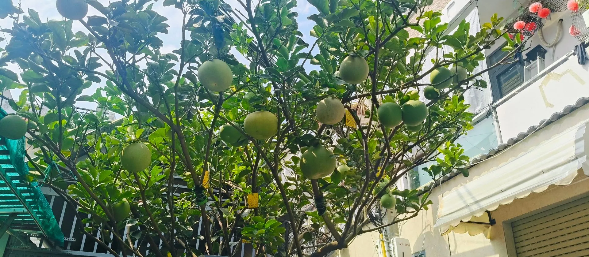 Nhà Hiếm Phường Bình Đông - Mặt Tiền Rộng, Giá Tốt... Bán nhà riêng tại Bình Đông, Hồ Chí Minh 01