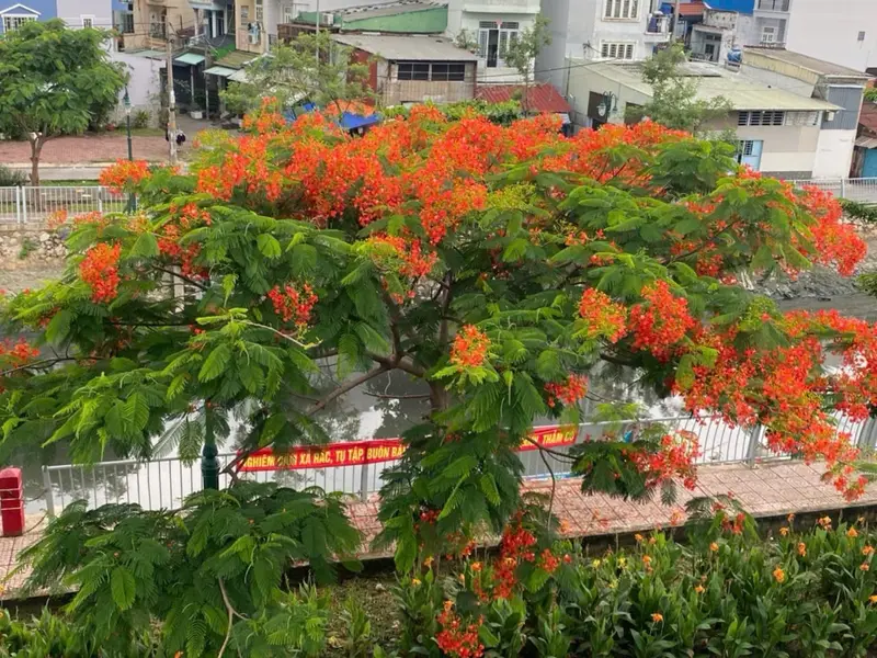 Bán nhà riêng 2 tầng tại phường Phú Định, quận 8, diện tích 32m², giá 3,5 tỷ đồng... Bán nhà riêng tại Phú Định, Hồ Chí Minh 01