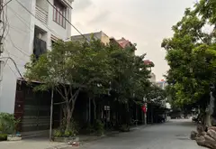 Bán đất 196m2 hướng Đông Nam tại Mai Hiên, gần Vinhomes Cổ Loa... Bán đất tại Đông Anh, Hà Nội 05
