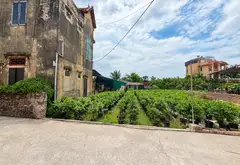 🚗 71M² NGÕ Ô TÔ – GẦN NGAY ĐƯỜNG Ô TÔ TRÁNH, TẦM TIỀN DỄ TIẾP CẬN... Bán đất tại Văn Giang, Hưng Yên 04