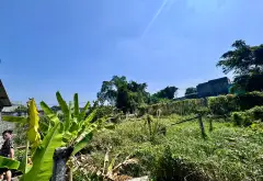 Đất Mặt Tiền Liên Tổ Siêu Lớn, Cơ Hội Đầu Tư Hiếm Có... Bán nhà mặt phố tại Bình Chánh, Hồ Chí Minh 06