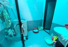 💰 6,3 TỶ | GẦN GA METRO – SÂN BAY | TRƯỜNG CHINH
📍 Gần 70m² | 4 × 17m vuông A4 | Hẻm ô tô nhỏ tới... Bán owner_side tại Tây Thạnh, Hồ Chí Minh 11
