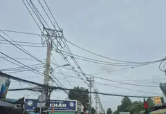 Bán đất 4000m gần Ngã Ba Giồng, Hóc Môn diện tích lớn, giá 10 tỷ... Bán đất tại Bà Điểm, Hồ Chí Minh 06