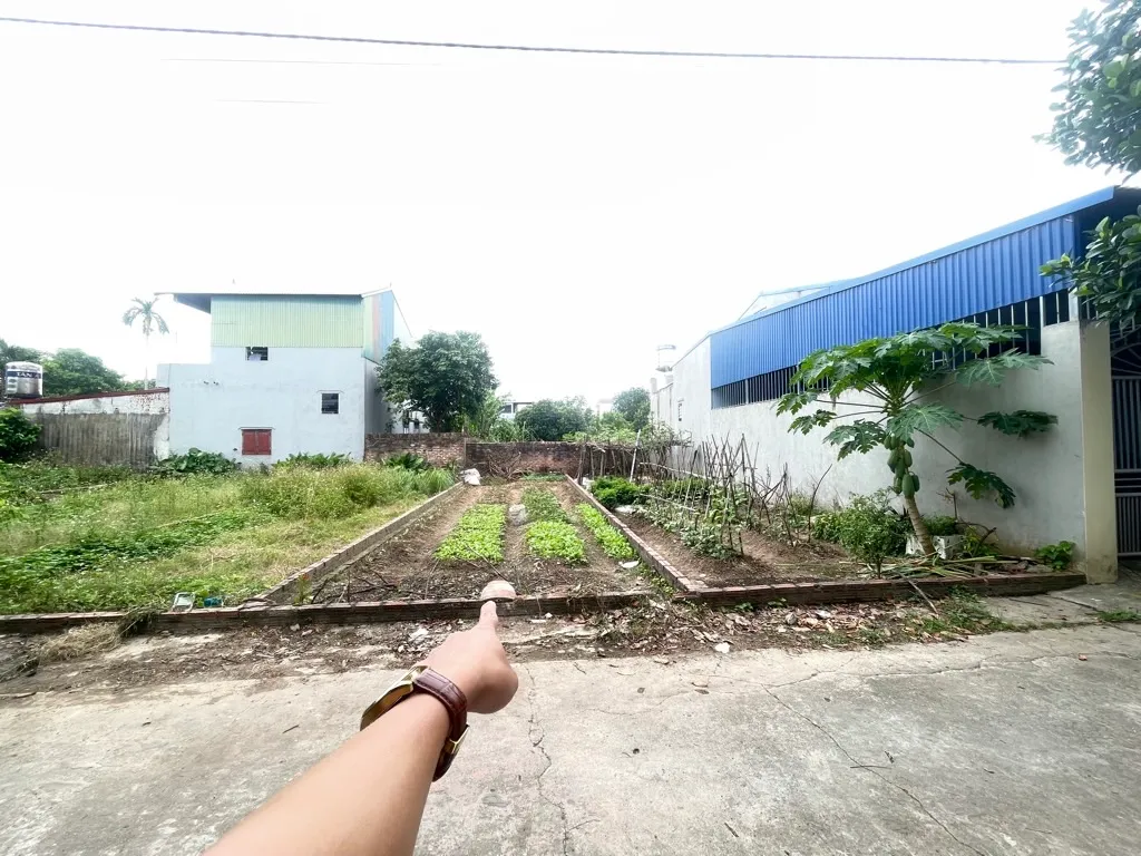 Đất Vang Vị Trí Đẹp - Cơ Hội Vàng Chờ Bạn!... Bán đất tại Nội Bài, Hà Nội 01