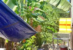 Căn Nhà Cũ Sát Mặt Tiền - Cơ Hội Vàng Cho Nhà Đầu Tư!... Bán nhà riêng tại Bình Hưng Hòa, Hồ Chí Minh 01