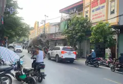 Cơ hội hiếm có mua đất ngay trung tâm Đồng Nguyên, Bắc Ninh... Bán đất tại Đồng Nguyên, Bắc Ninh 06