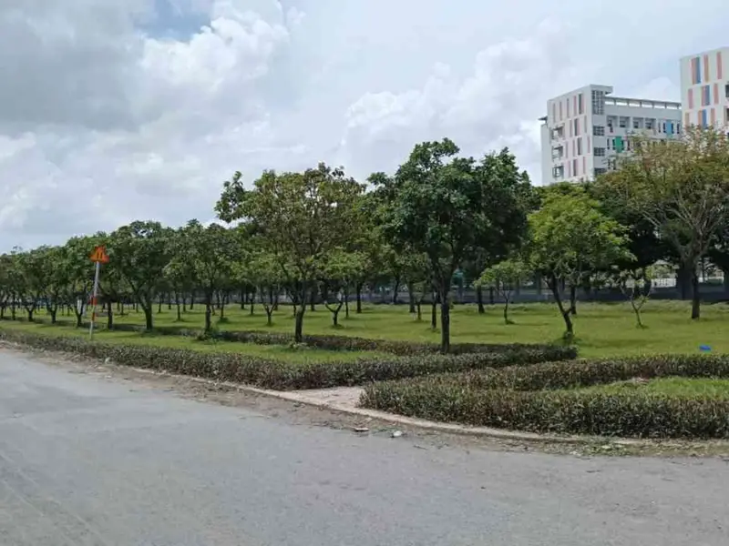 Đất Vườn Lớn Gần Bệnh Viện Nhi Đồng 3 - Cơ Hội Vàng Đầu Tư... Bán đất tại Tân Nhựt, Hồ Chí Minh 01