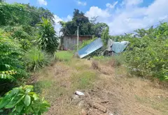Cơ hội sở hữu nhà vườn rộng 615m² tại xã Củ Chi, không gian riêng tư hiếm có... Bán đất tại Củ Chi, Hồ Chí Minh 09