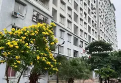 Căn Hộ View Nội Khu Ngọt Ngào, Tiện Nghi Đầy Đủ... Bán căn hộ chung cư tại Phú Diễn, Hà Nội 10
