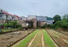 NHỈNH 3 TỶ - 56m2 ĐẤT CỔ LOA, NGÕ NÔNG, Ô TÔ ĐỖ CỬA... Bán đất tại Đông Anh, Hà Nội 02