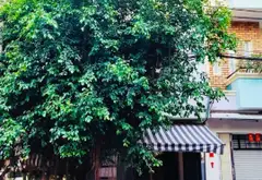 MẶT TIỀN KHU TÊN LỬA LÔ GÓC KINH DOANH ĐỈNH - 85m2 - 4x21.5M - 4 TẦNG - ĐANG CHO THUÊ 23TR/ THÁNG -... Bán nhà mặt phố tại An Lạc, Hồ Chí Minh 02