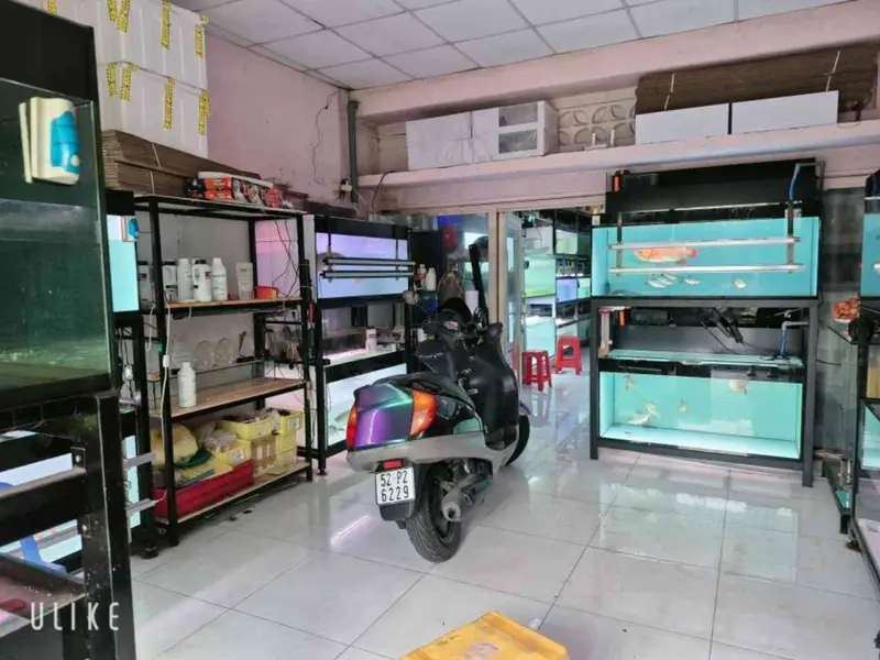 🏡 MẶT TIỀN KINH DOANH – ĐƯỜNG SỐ 9, LINH XUÂN – 5,3 Tỷ... Bán nhà mặt phố tại Linh Xuân, Hồ Chí Minh 01