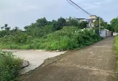Đất Vàng Phù Linh - Đầu Tư Sinh Lời, 48.5m² Rộng Rãi... Bán đất tại Sóc Sơn, Hà Nội 04
