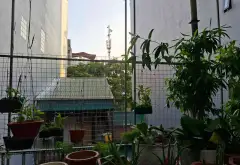 Đất Mặt Phố Nguyễn Khắc Nhu - Vị Trí Vàng, Tiềm Năng Tăng Giá... Bán đất tại Ba Đình, Hà Nội 07