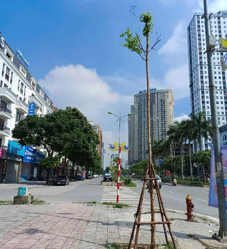 Cơ hội sở hữu nhà mặt phố đắc địa TT11 Văn Phú giá chỉ 28.6 tỷ... Bán nhà mặt phố tại Kiến Hưng, Hà Nội 01