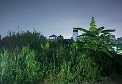 Lô đất góc rộng tiện mở nhà xưởng kinh doanh tại khu vực phát triển... Bán đất tại An Hưng, Hải Phòng 03