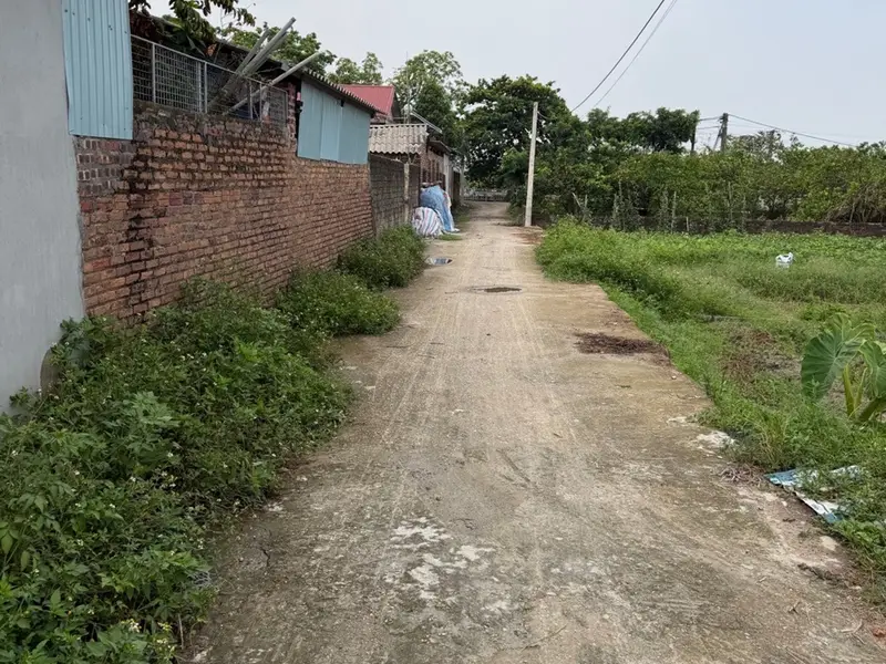 Đất thổ cư vị trí đắc địa gần chùa, giá tốt... Bán đất tại Xuân Cẩm, Bắc Ninh 01