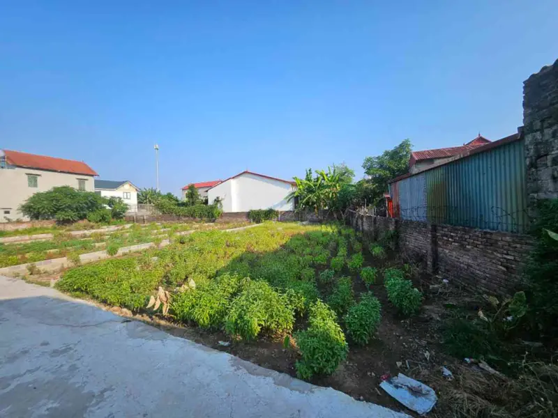 Lô đất vàng Văn Giang, cơ hội đầu tư cực hấp dẫn quán trạch AB.... Bán đất tại Văn Giang, Hưng Yên 01
