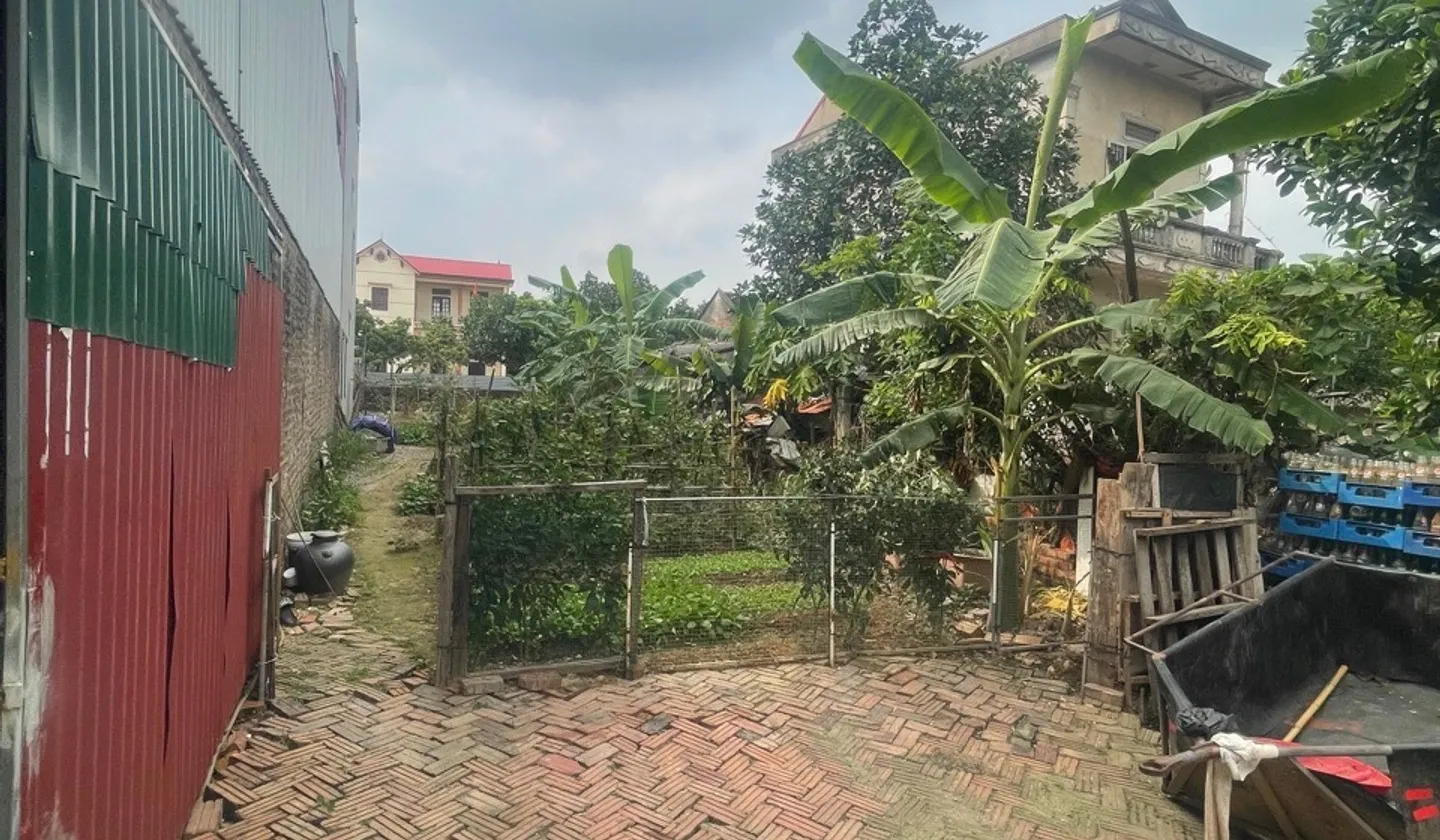Bán đất 203,8m2 mặt phố kinh doanh ở xã Kim Anh, Hà Nội... Bán đất tại Kim Anh, Hà Nội 01