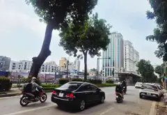 Giảng võ 4 tầng 35m2 Lô góc siêu thoáng, đối diện Vin Giảng Võ, dòng tiền bền vững... Bán nhà riêng tại Ô Chợ Dừa, Hà Nội 20